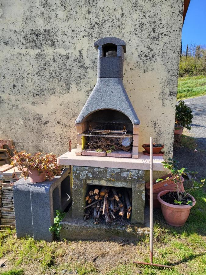 Appartement I Castagnini à Montecatini Val di Cecina Extérieur photo