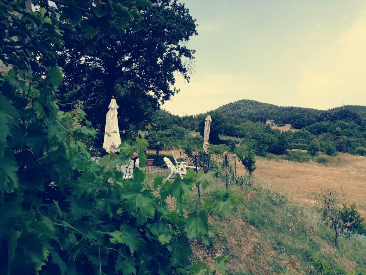 Appartement I Castagnini à Montecatini Val di Cecina Extérieur photo