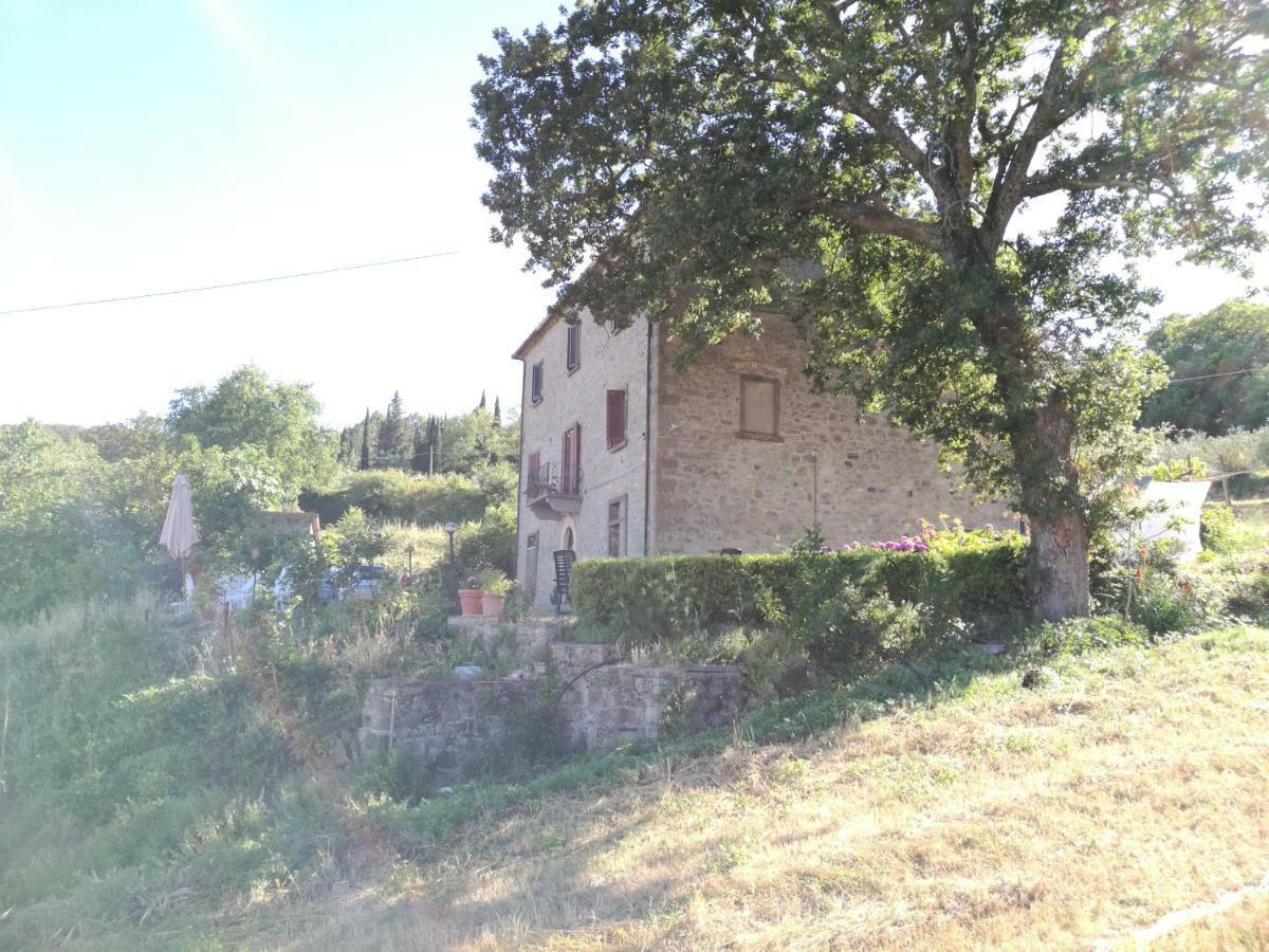 Appartement I Castagnini à Montecatini Val di Cecina Extérieur photo