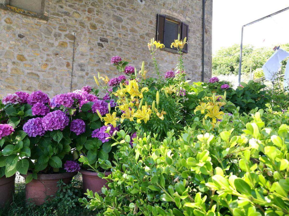Appartement I Castagnini à Montecatini Val di Cecina Extérieur photo