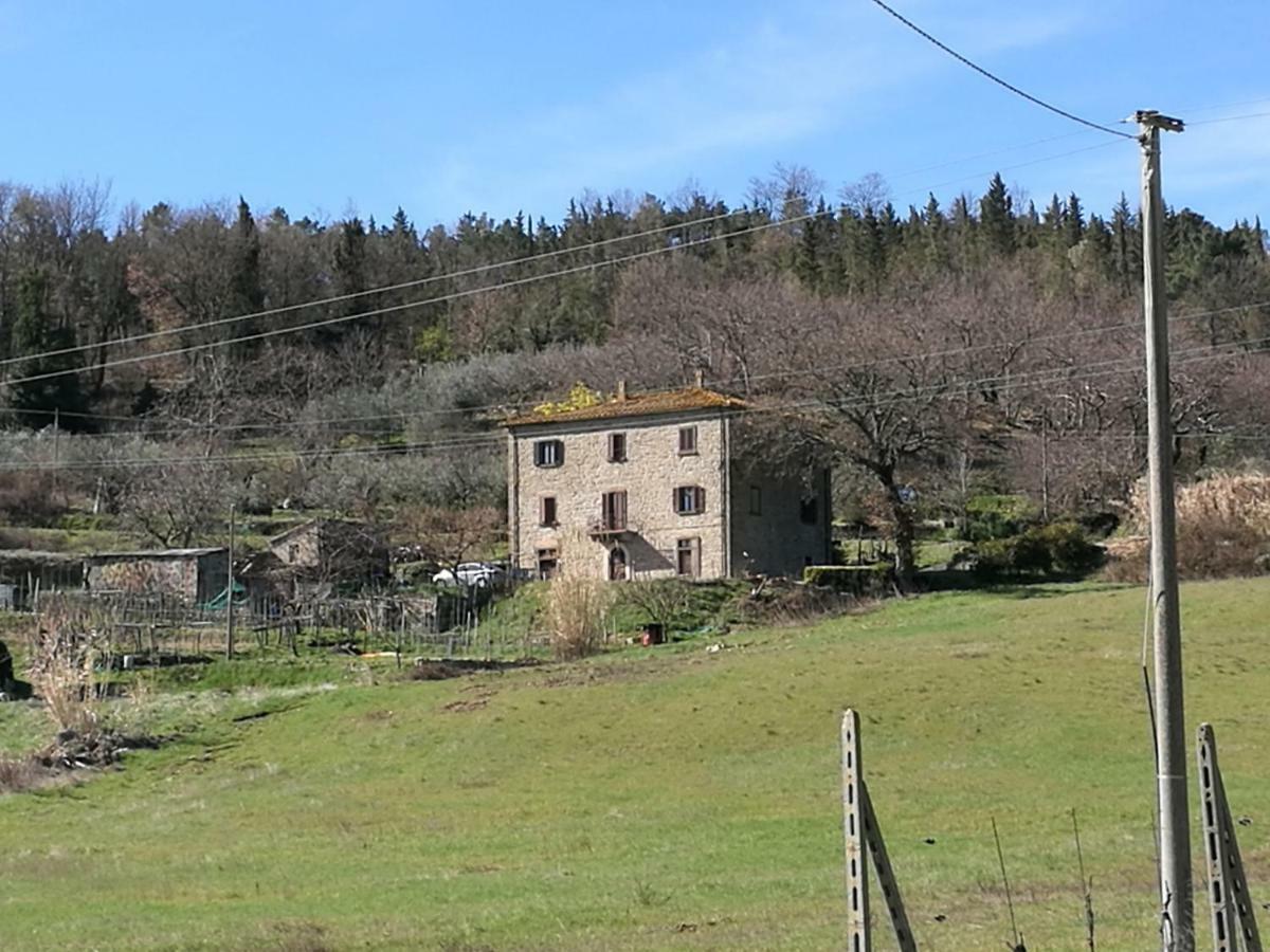 Appartement I Castagnini à Montecatini Val di Cecina Extérieur photo